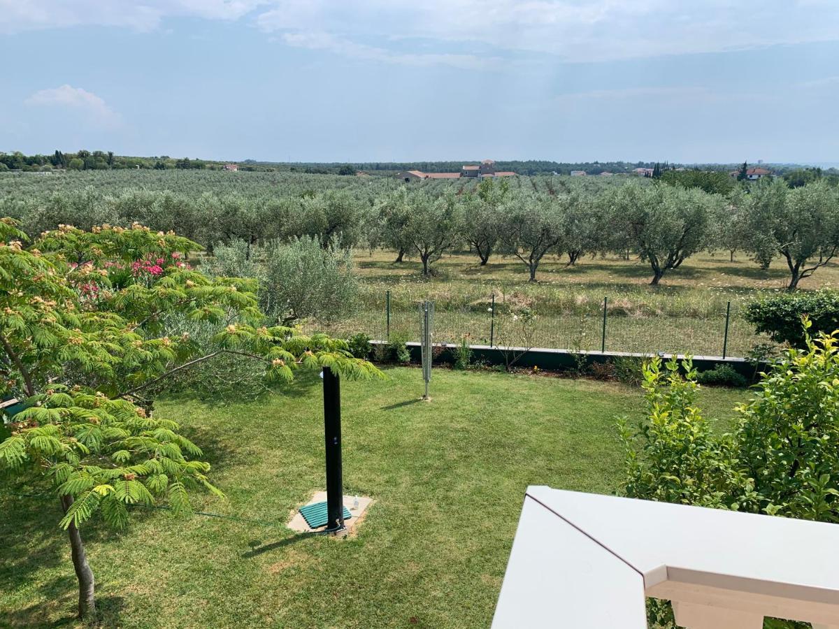 Rosa Apartament