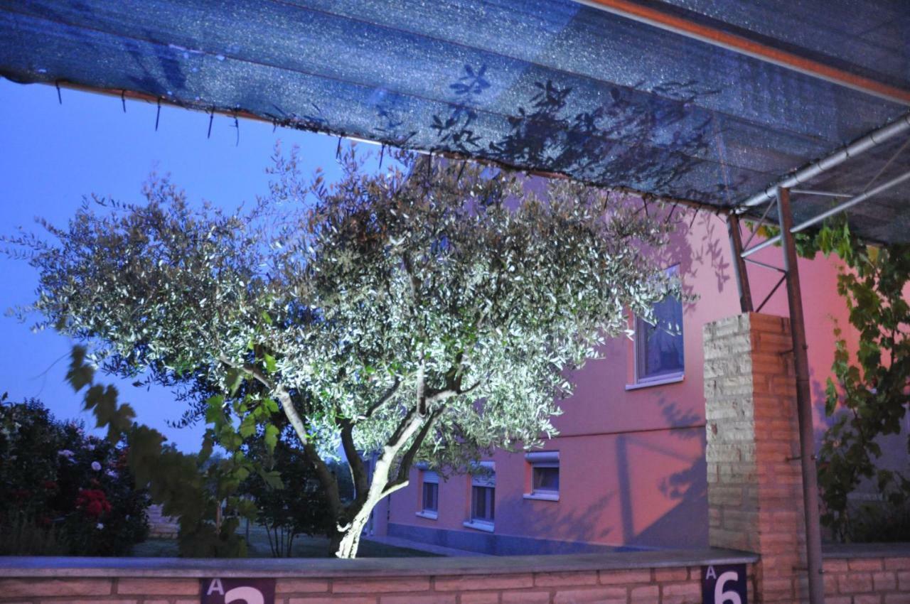 Apartament Rosa