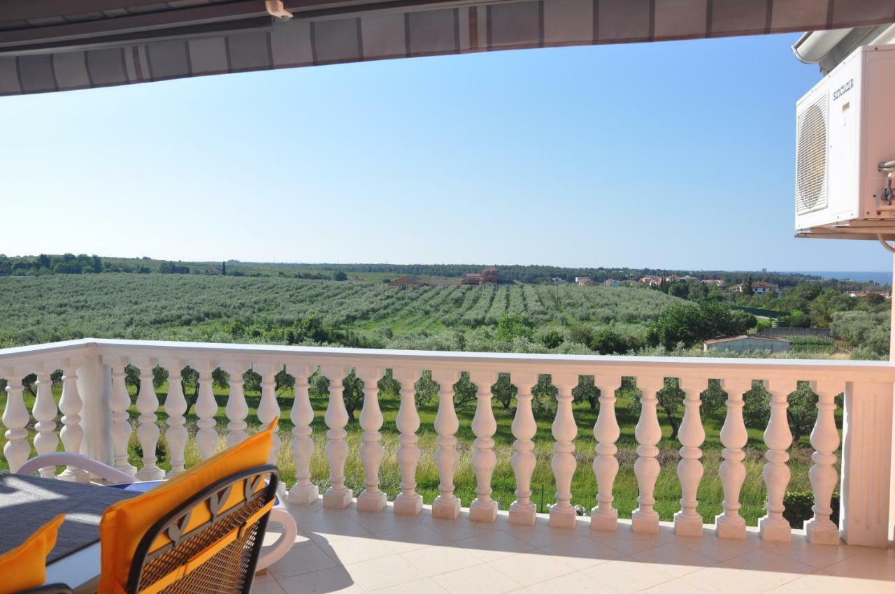 Apartament Rosa