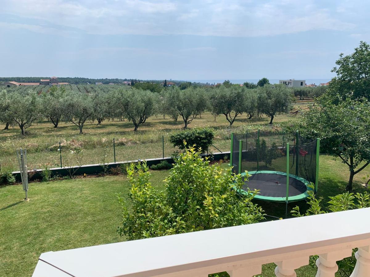 Apartment Rosa