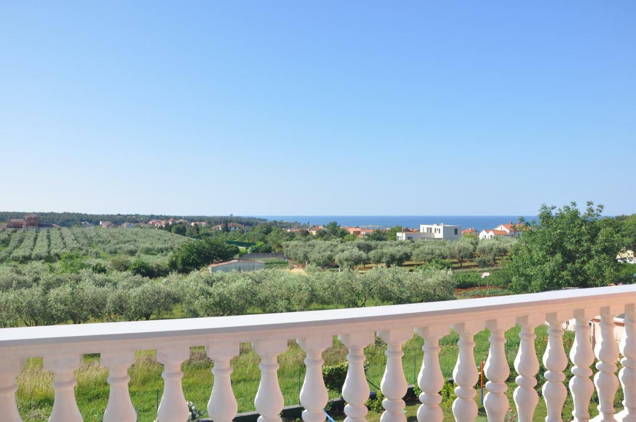 Rosa * Umag