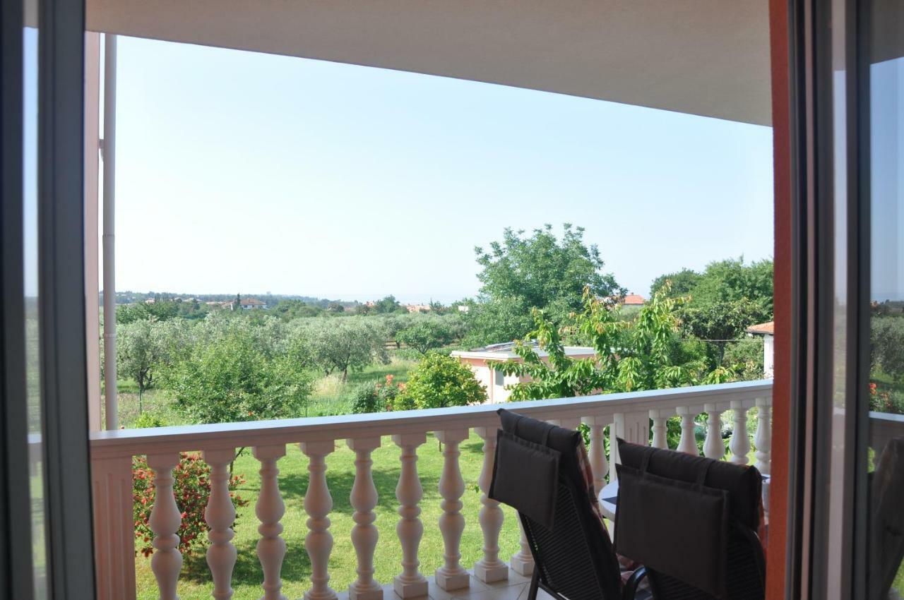 Apartment Rosa