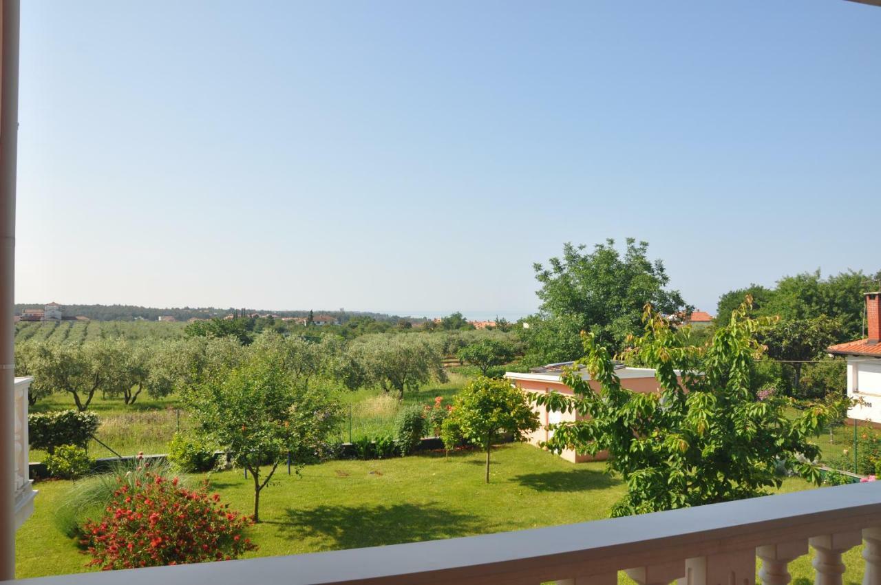 Apartment Rosa *